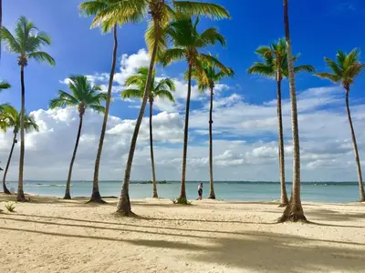 a person walking on a beach with palm trees at Beautiful 2 bedroom apartment Playa Nueva Romana in Boca del Soco