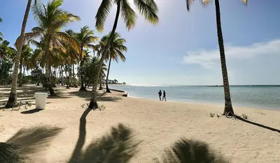 two people walking on a beach with palm trees at Beautiful 2 bedroom apartment Playa Nueva Romana in Boca del Soco