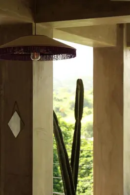 a pendant light with a cactus in front of a window at Casba Hostel in Las Terrenas