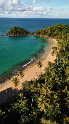 an aerial view of a beach with palm trees and the ocean at Playa Bonita Modern Beachfront Penthouse - 3BR in Las Terrenas