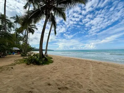 a sandy beach with palm trees and the ocean at Charming Villa GUGI #80 in Palmeras de Coson, Las Terrenas in Las Terrenas
