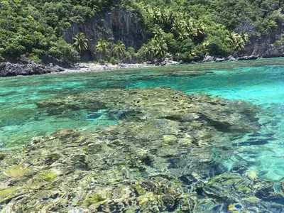an image of a beach with coral reef at Guest-House Caracol 1- 2 Pax, vista al mar in Las Galeras
