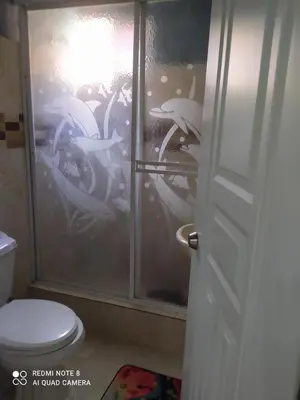 a bathroom with a shower with a toilet and a window at Recidencia Don Carlos