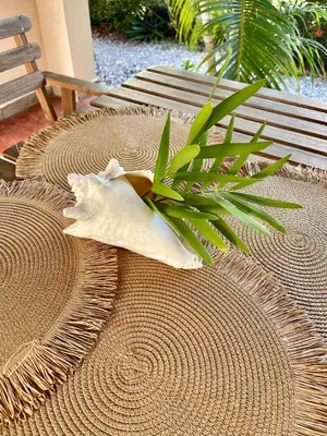 a plant sitting on top of a wooden table at 21 Palms in Las Galeras
