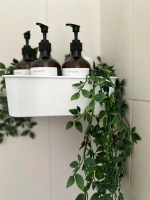 four bottles of soap on a shelf with a plant at 21 Palms in Las Galeras