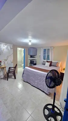 a bedroom with a bed with a fan in it at Nido de amor in Jarabacoa