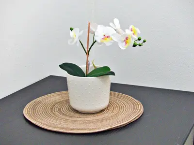 a white vase with white flowers on a table at Mini Hogar 3 in Colorado