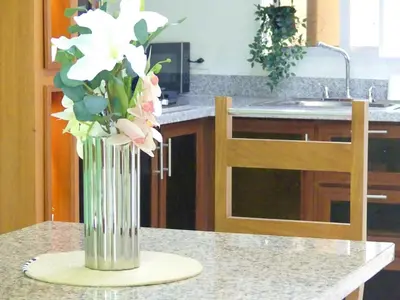 a vase of flowers on a counter in a kitchen at Vista Central in Colorado