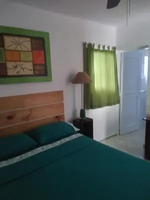 a bedroom with a green bed and a green curtain at Waverider Apartments in Cabarete