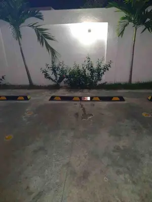 a parking lot with palm trees and a wall at Beautiful residential area near Avenida España in Los Mameyes