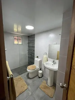 a bathroom with a toilet and a sink and a shower at Beautiful residential area near Avenida España in Los Mameyes
