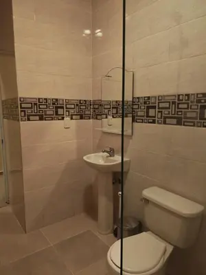a bathroom with a toilet and a sink at Cozy apartment, AC, Wifi, 2BR, 2Bath, Bani, 1-B in Baní