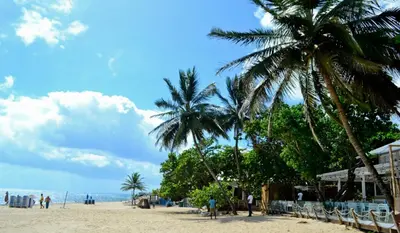 a beach with two palm trees and people on it at Stylish Apartment Steps from Puerto Plata Malecon in San Felipe de Puerto Plata