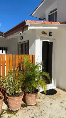 a group of potted plants in front of a house at Casa Mattia in La Laguna