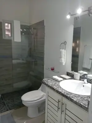 a bathroom with a toilet and a sink and a shower at Casa Brisa del Río in Las Terrenas