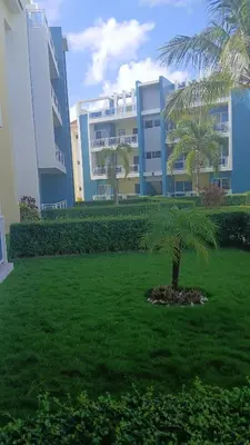 a palm tree in a yard in front of a building at Eden Caribe Punta Vana in Punta Cana