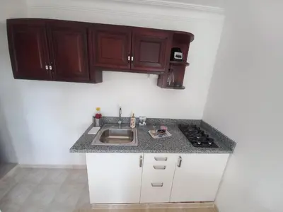 a kitchen with wooden cabinets and a sink at Casa Petter og Maria first floor in Santiago de los Caballeros