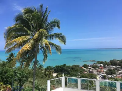a palm tree sitting on top of a building next to the ocean at Hotel La Loma in Miches