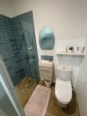 a bathroom with a shower and a toilet and a sink at Villa Mirna in Las Terrenas