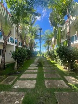 a street with palm trees and a person riding a bike at Quiet and beautiful view in Boca Chica