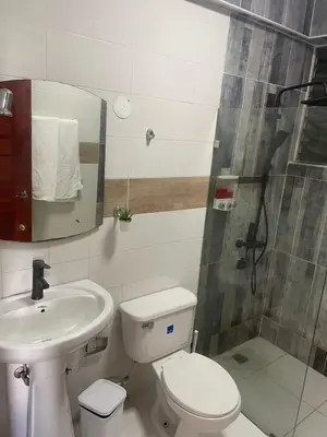 a bathroom with a toilet and a sink and a shower at Zile Hotel in Boca Chica