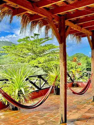 a hammock on a patio with plants at Hostal Luz Del Valle in Santa Bárbara de Samaná