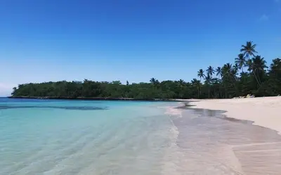 a beach with palm trees and blue water at Villa Olam in Las Galeras