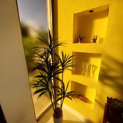 a potted plant sitting on a table in front of a mirror at Villa Olam in Las Galeras
