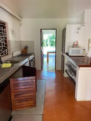 a kitchen with a sink and a microwave at Villa Louana in Las Terrenas