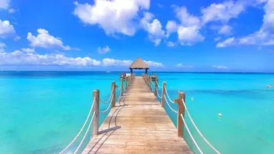 a pier in the ocean with a blue sky and water at Green Oasis in La Laguna