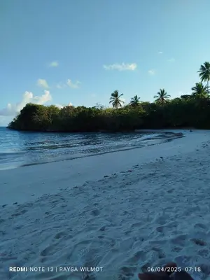 a sandy beach with palm trees and the ocean at Parador tropical in Las Galeras
