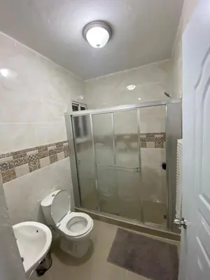 a bathroom with a shower and a toilet and a sink at Casa amarilla in Cumayasa Kilómetros 4 1/2