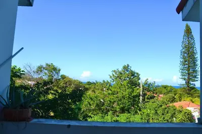 a view from a balcony of trees and bushes at Cozy apartment - steps from Playa Costambar in San Felipe de Puerto Plata