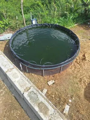 a large round pool of water in a yard at Caribbean Corner in Jarabacoa