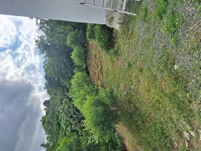an overhead view of a mountain with trees and bushes at Caribbean Corner in Jarabacoa