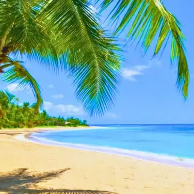 Harmonia - Sunbeha resort