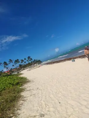 a sandy beach with palm trees and the ocean at Residencial El Carey in Punta Cana