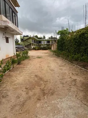 Gallery image of Hotel Ryluc in Pedernales