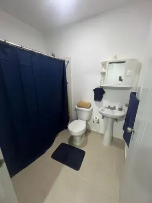a bathroom with a toilet and a sink with a blue shower curtain at Antares II in San Isidro