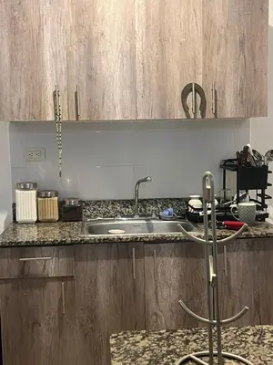 a kitchen with a sink and wooden cabinets at Antares II in San Isidro