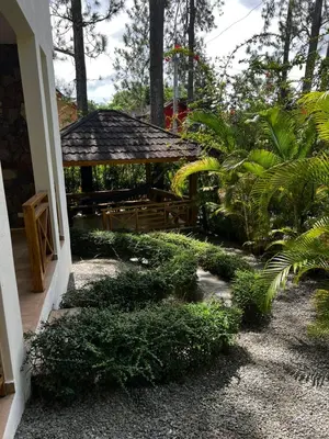 a garden with a gazebo and plants at Villa Orquidea in Buena Vista