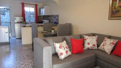 a living room with a gray couch with red and white pillows at Style and Comfort in Cancino