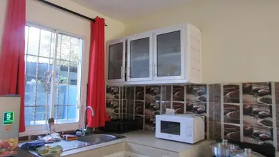 a kitchen with a sink and a microwave at Style and Comfort in Cancino