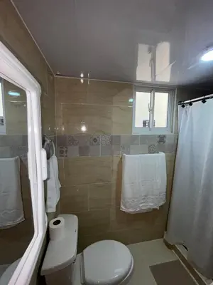 a bathroom with a toilet and a shower at Comfortable apartment near the airport in La Javilla