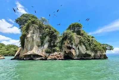 a group of birds flying over a small island in the water at Nice rooftop apartment in La Cabirma