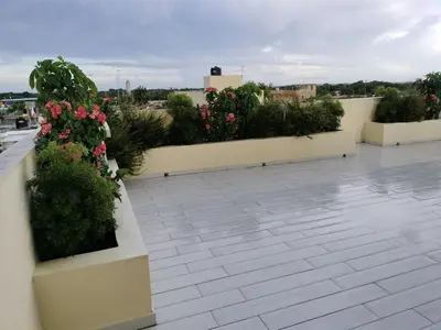 a row of planters with flowers on a roof at Nice rooftop apartment in La Cabirma