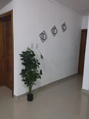 a plant in a room with a white wall at Alojamiento Residencial MAM in San Cristóbal