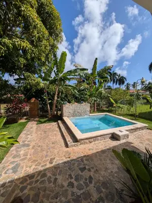 a swimming pool in a yard with trees at Casa los Mangos Private pool 150 m from the beach in Las Galeras