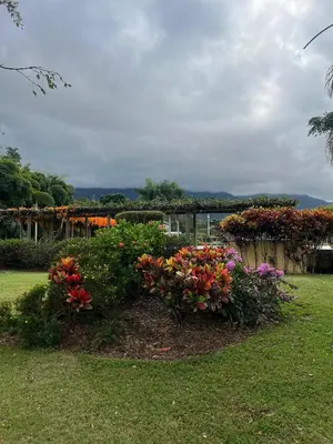 a garden with flowers in the grass at Estaciones de Jarabacoa - Mountain Lodge in Jarabacoa