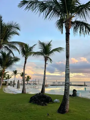 a group of palm trees on the beach at Sunset Paradise Tracadero Apartment Sea pools access Private Garden WorkSpace in La Laguna